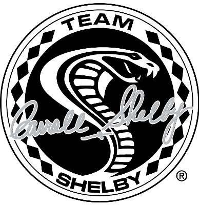Team Shelby Switzerland